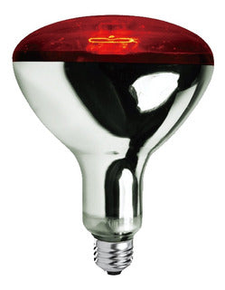 Ampolleta para Lampara Infrarrojo 250W
