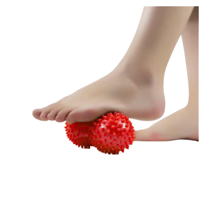 Huesito Erizo para Masaje